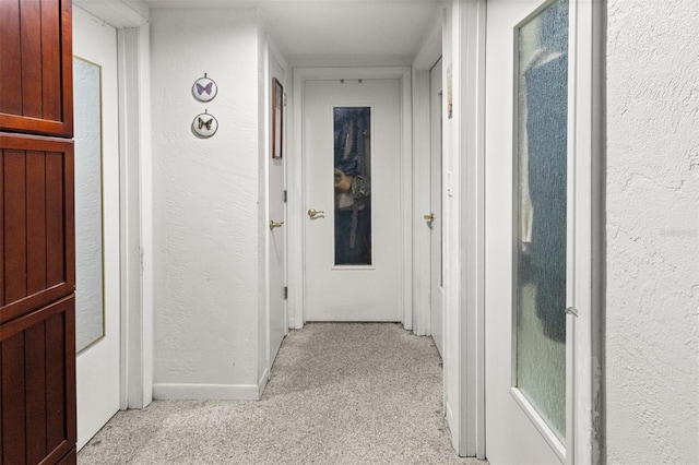 1529 NW 143rd St, Gainesville, FL 32606 - corridor with carpet flooring, a textured wall, and baseboards