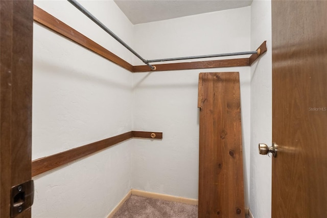 5620 NW 25th St, Gainesville, FL 32653 - spacious closet with carpet flooring