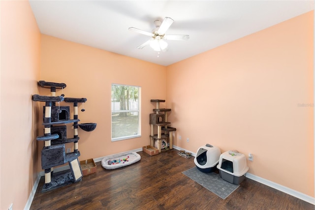 2648 NE 24th Pl, Ocala, FL 34470 - misc room featuring a ceiling fan, baseboards, and wood finished floors
