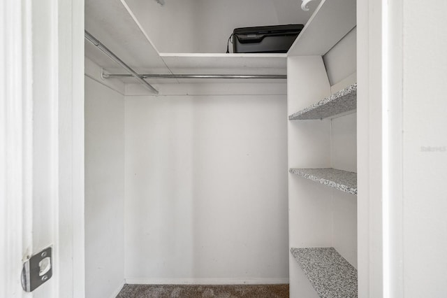 spacious closet featuring carpet flooring