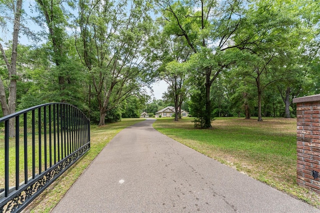 19138 NW 76th Ave, Alachua, FL 32615 - view of street with driveway and a gated entry