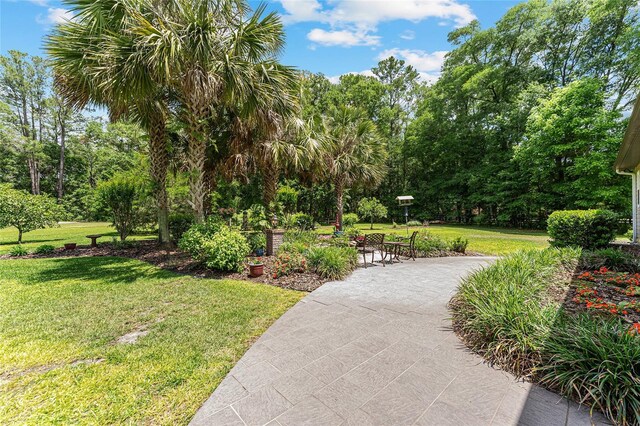 19138 NW 76th Ave, Alachua, FL 32615 - view of property's community featuring a yard