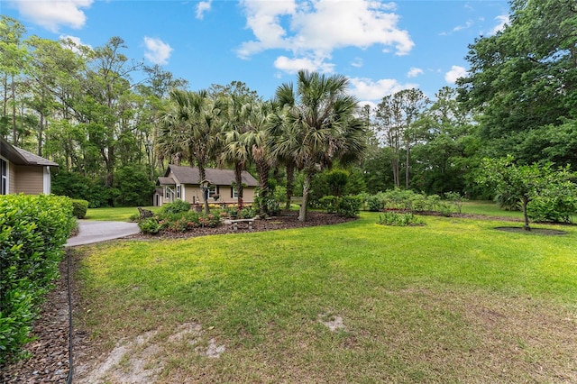 19138 NW 76th Ave, Alachua, FL 32615 - view of yard