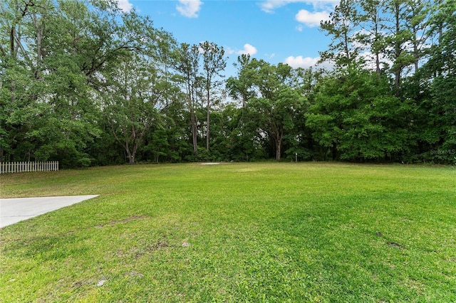 19138 NW 76th Ave, Alachua, FL 32615 - view of yard featuring fence