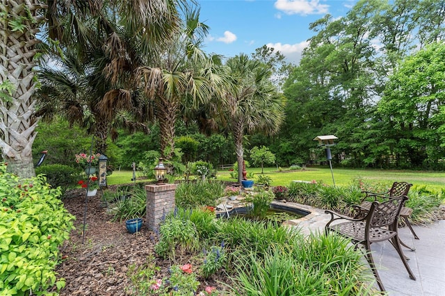 19138 NW 76th Ave, Alachua, FL 32615 - view of community with a yard and a patio area