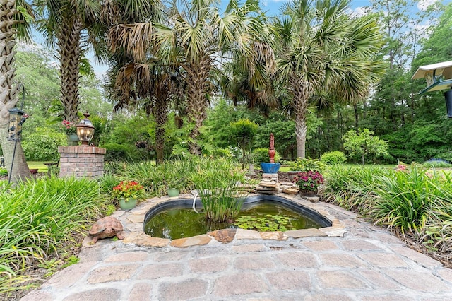 19138 NW 76th Ave, Alachua, FL 32615 - view of property's community