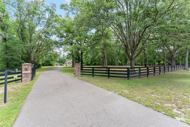 19138 NW 76th Ave, Alachua, FL 32615 - view of road featuring driveway