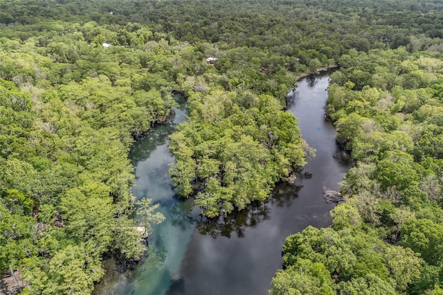 birds eye view of property featuring a water view and a view of trees