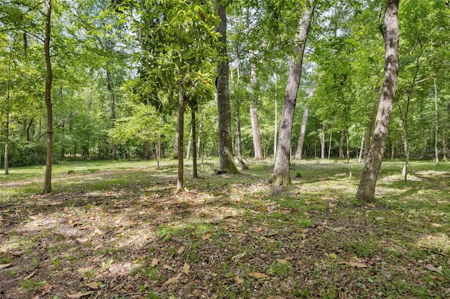 view of landscape with a view of trees