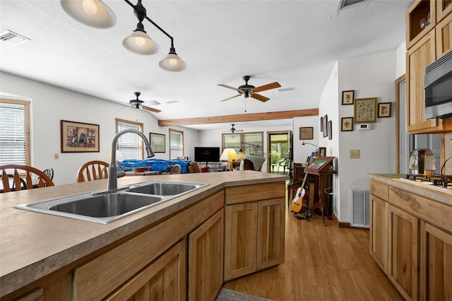 kitchen featuring a sink, a healthy amount of sunlight, dark wood-style flooring, and visible vents