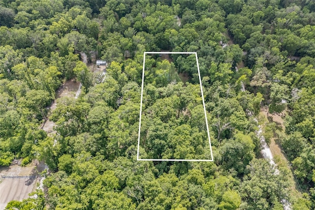 drone / aerial view featuring a view of trees