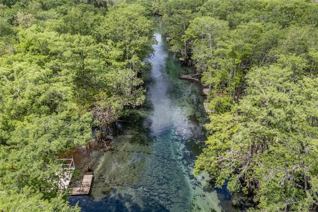 drone / aerial view with a water view and a wooded view