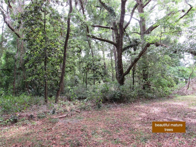 view of landscape with a forest view