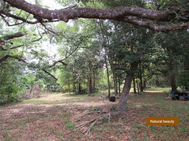 view of landscape with a view of trees
