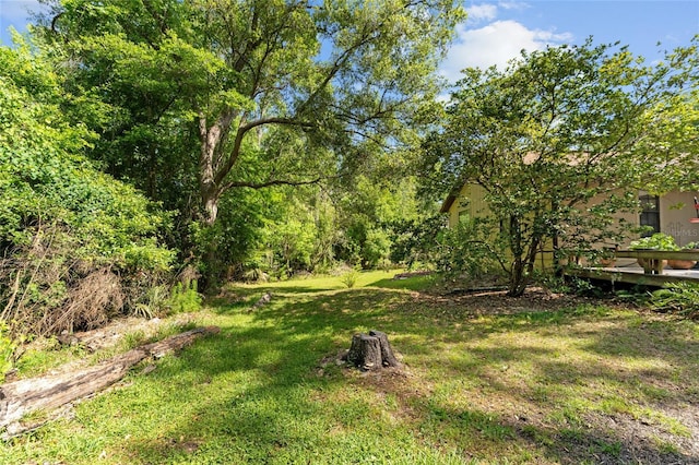 7022 NW 51st Ter, Gainesville, FL 32653 - view of yard