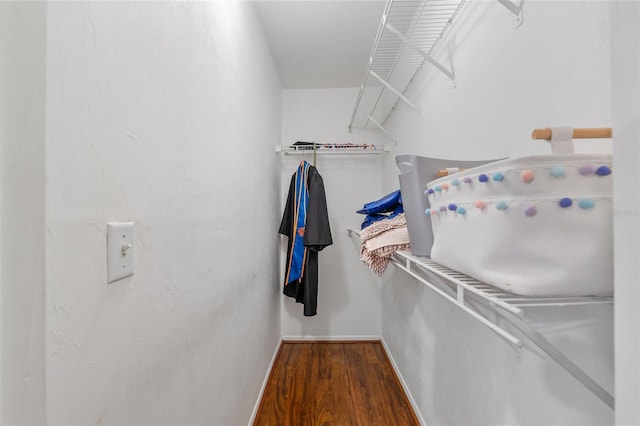 4000 SW 23rd St Unit 2-305, Gainesville, FL 32608 - spacious closet with wood finished floors