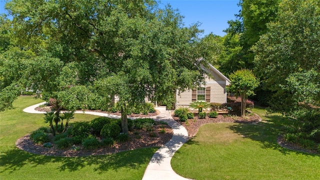 view of grassy yard