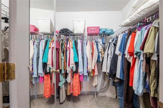 938 NW 42nd Ter, Gainesville, FL 32605 - spacious closet featuring carpet flooring