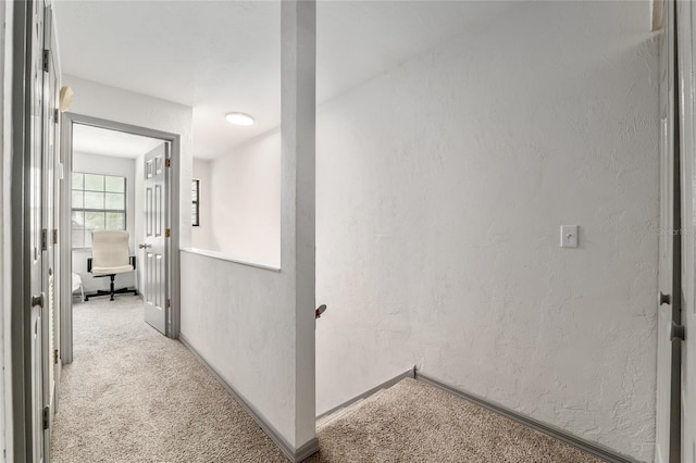 938 NW 42nd Ter, Gainesville, FL 32605 - corridor with light carpet, a textured wall, and baseboards