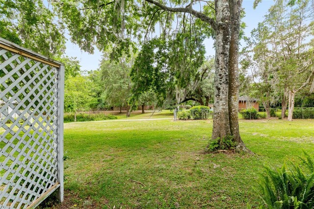 938 NW 42nd Ter, Gainesville, FL 32605 - view of green lawn