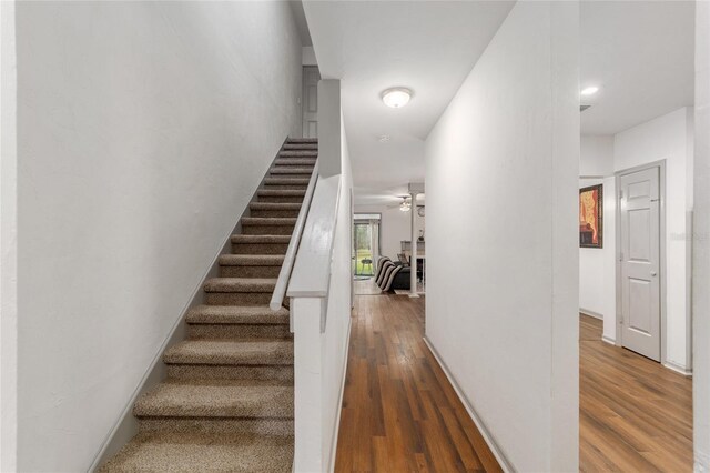 938 NW 42nd Ter, Gainesville, FL 32605 - stairway featuring a ceiling fan and wood finished floors