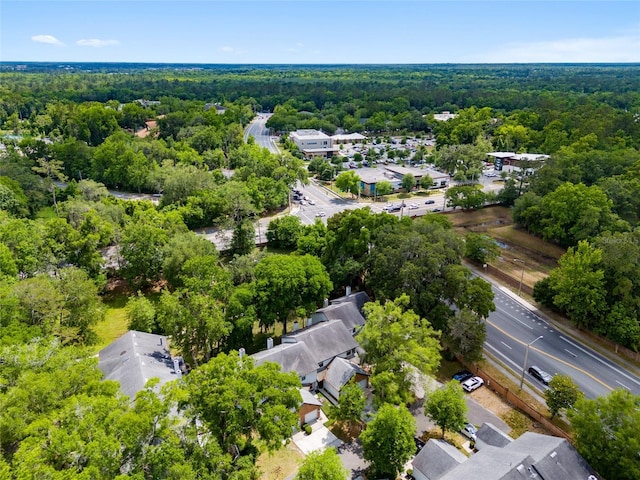 938 NW 42nd Ter, Gainesville, FL 32605 - bird's eye view of a forest