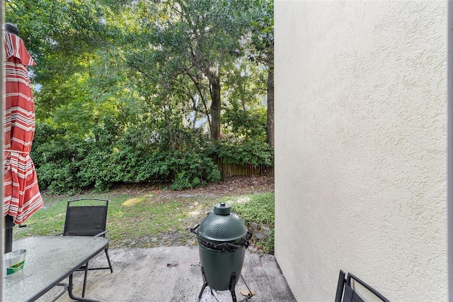 view of yard featuring a patio area