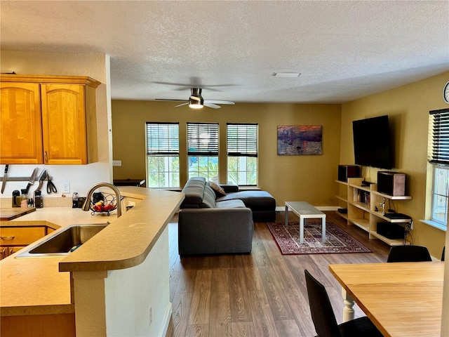 living room featuring wood finished floors, a textured ceiling, and ceiling fan