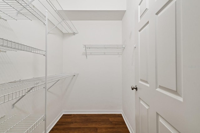 walk in closet featuring dark wood-type flooring