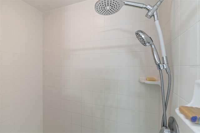 9505 NW 4th Pl, Gainesville, FL 32607 - interior details featuring tiled shower
