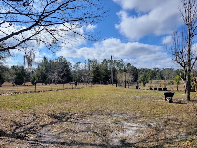 9150 SW 151st Ln, Archer, FL 32618 - view of yard with fence