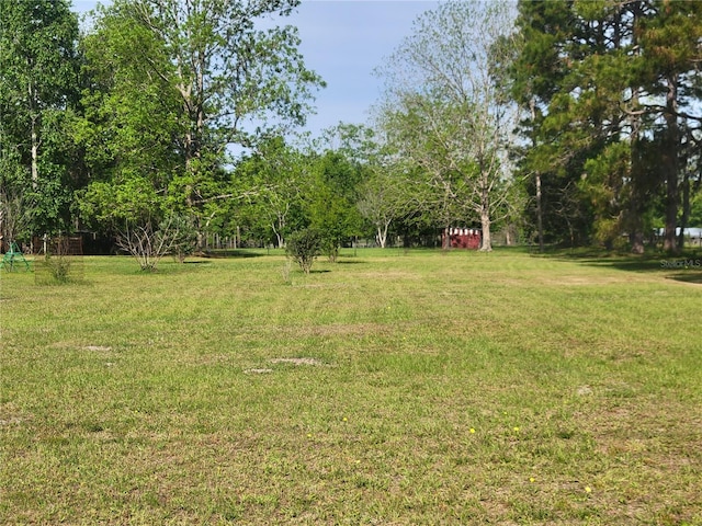 9150 SW 151st Ln, Archer, FL 32618 - view of green lawn