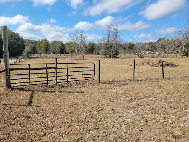 9150 SW 151st Ln, Archer, FL 32618 - view of yard with a rural view