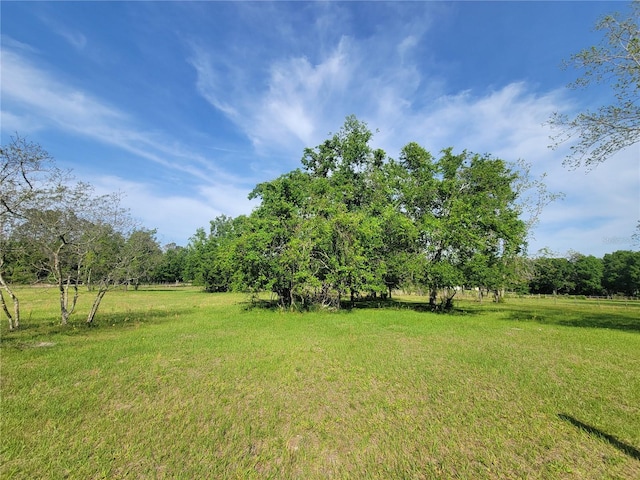 9150 SW 151st Ln, Archer, FL 32618 - view of green lawn