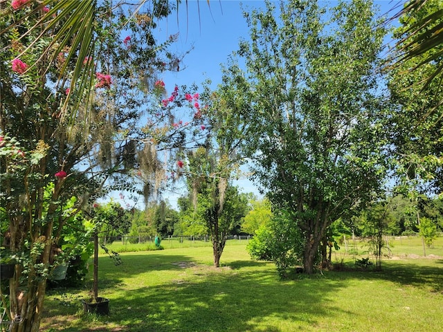 9150 SW 151st Ln, Archer, FL 32618 - view of yard