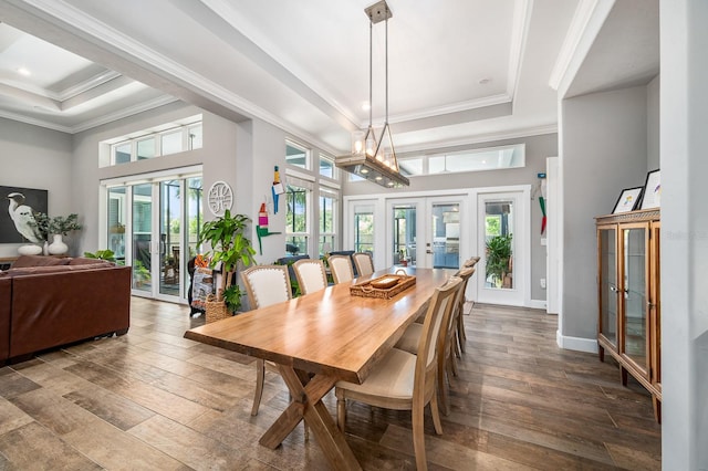 2734 SW 105th St, Gainesville, FL 32608 - dining space with french doors, a tray ceiling, hardwood / wood-style floors, crown molding, and a towering ceiling