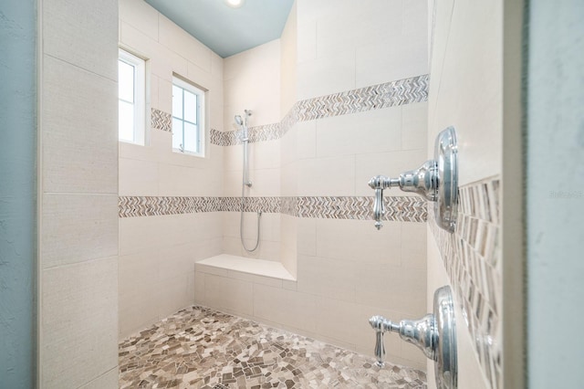 2734 SW 105th St, Gainesville, FL 32608 - full bath featuring tiled shower