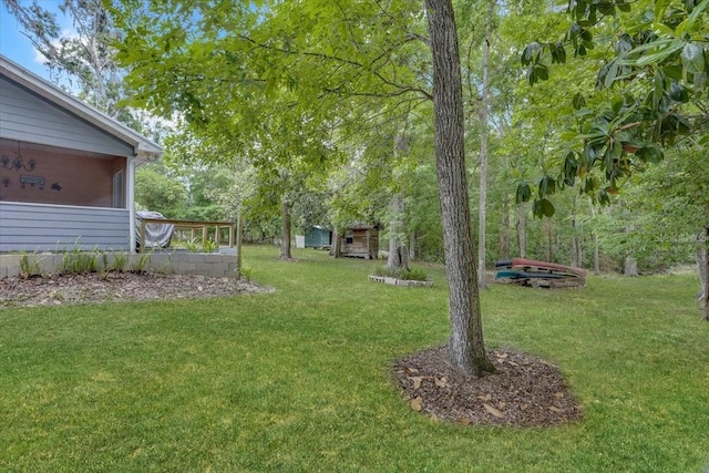 207 SW Rose Ln, Fort White, FL 32038 - view of green lawn