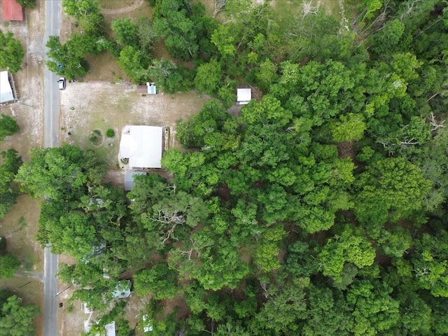 207 SW Rose Ln, Fort White, FL 32038 - aerial view of property's location