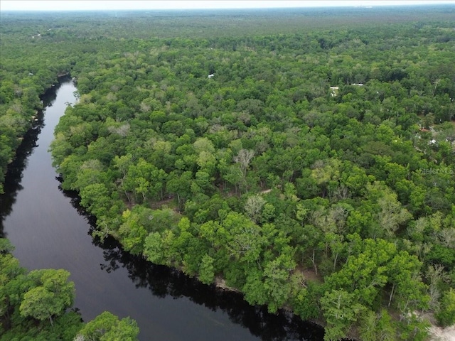 207 SW Rose Ln, Fort White, FL 32038 - aerial view of a forest and a nearby body of water