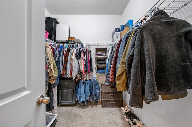 spacious closet with carpet flooring
