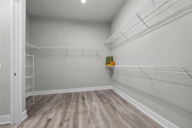 spacious closet with wood finished floors