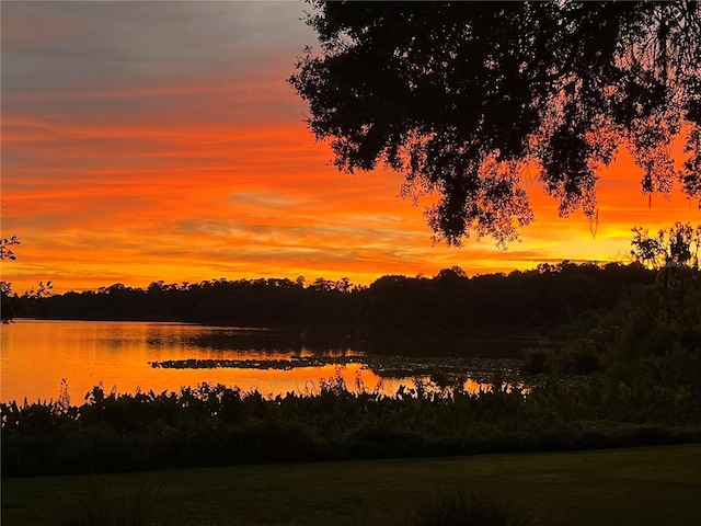 2514 SW 14th Dr, Gainesville, FL 32608 - water view featuring a forest
