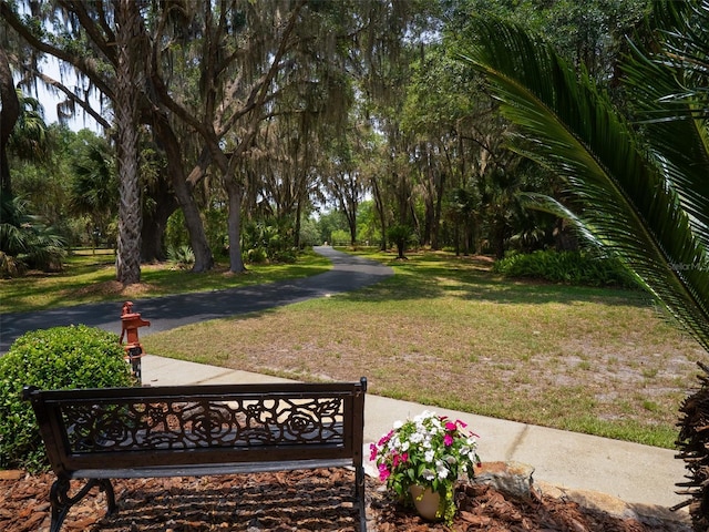 10712 SW 12th Ter, Micanopy, FL 32667 - view of home's community with a yard