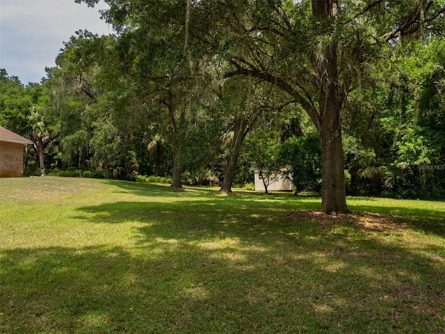 10712 SW 12th Ter, Micanopy, FL 32667 - view of grassy yard