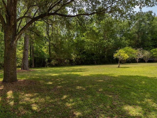 10712 SW 12th Ter, Micanopy, FL 32667 - view of grassy yard featuring a forest view