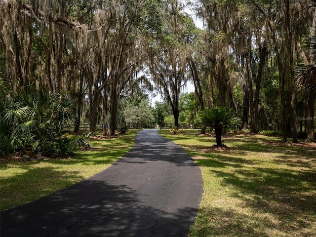 10712 SW 12th Ter, Micanopy, FL 32667 - view of street