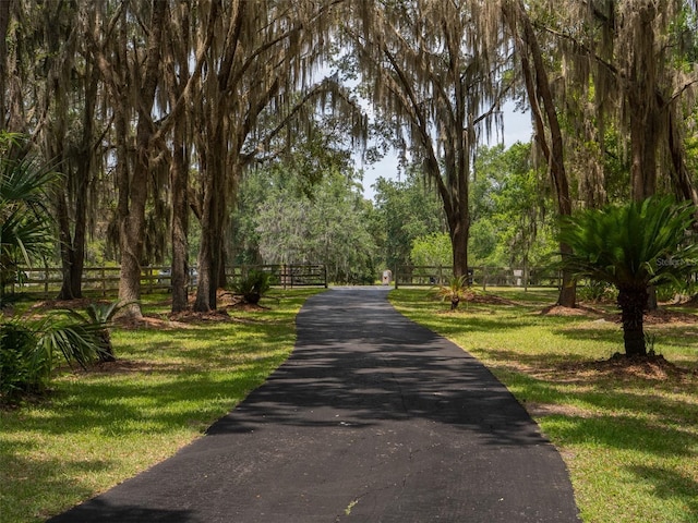10712 SW 12th Ter, Micanopy, FL 32667 - view of property's community with asphalt driveway