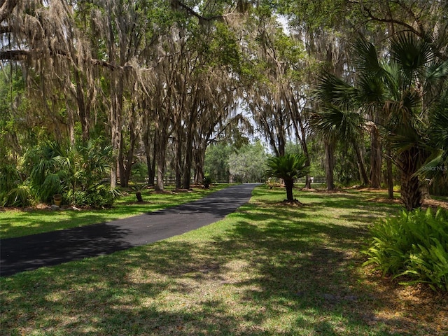 10712 SW 12th Ter, Micanopy, FL 32667 - view of home's community featuring a yard