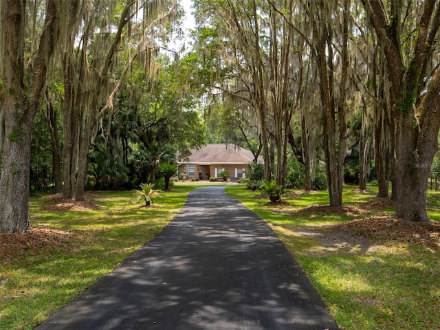 10712 SW 12th Ter, Micanopy, FL 32667 - view of front of home with a front lawn and asphalt driveway